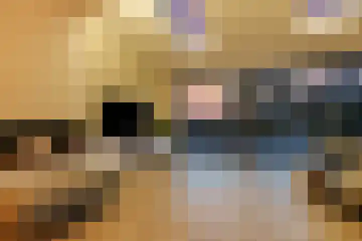 Drapeniersgilde 52 Hasselt thumbnail 31