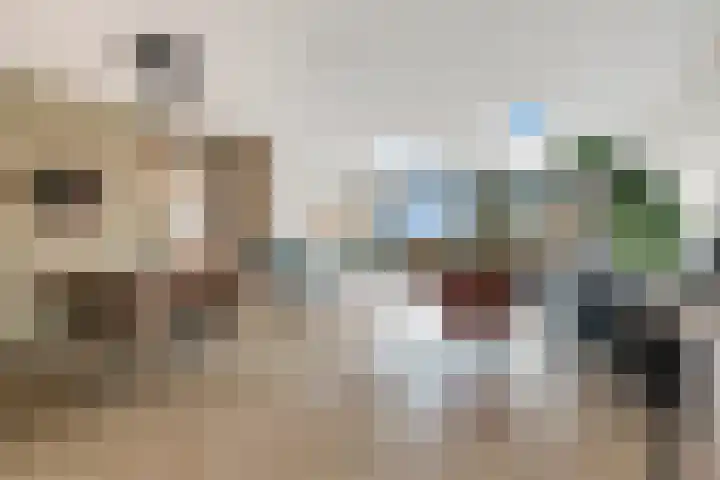 Drapeniersgilde 52 Hasselt thumbnail 4
