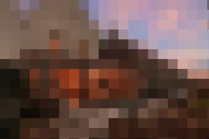 Drapeniersgilde 52 Hasselt thumbnail 40