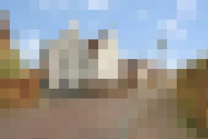 Drapeniersgilde 52 Hasselt thumbnail 46