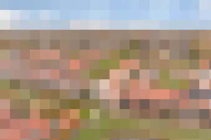 Drapeniersgilde 52 Hasselt thumbnail 56
