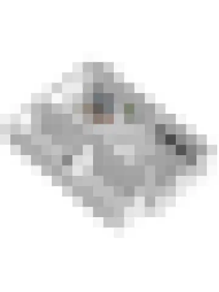 Drapeniersgilde 52 Hasselt thumbnail 61