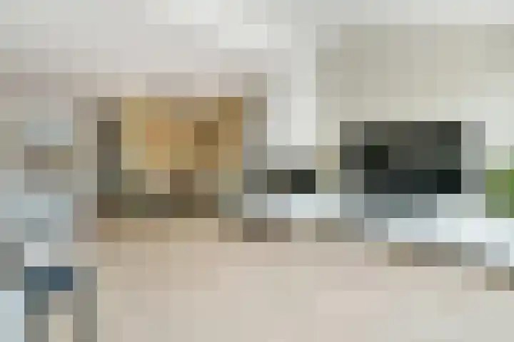 Drapeniersgilde 52 Hasselt thumbnail 7