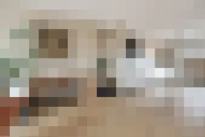 Drapeniersgilde 52 Hasselt thumbnail 8