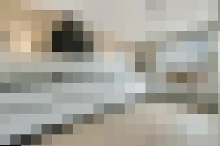 Drapeniersgilde 52 Hasselt thumbnail 9