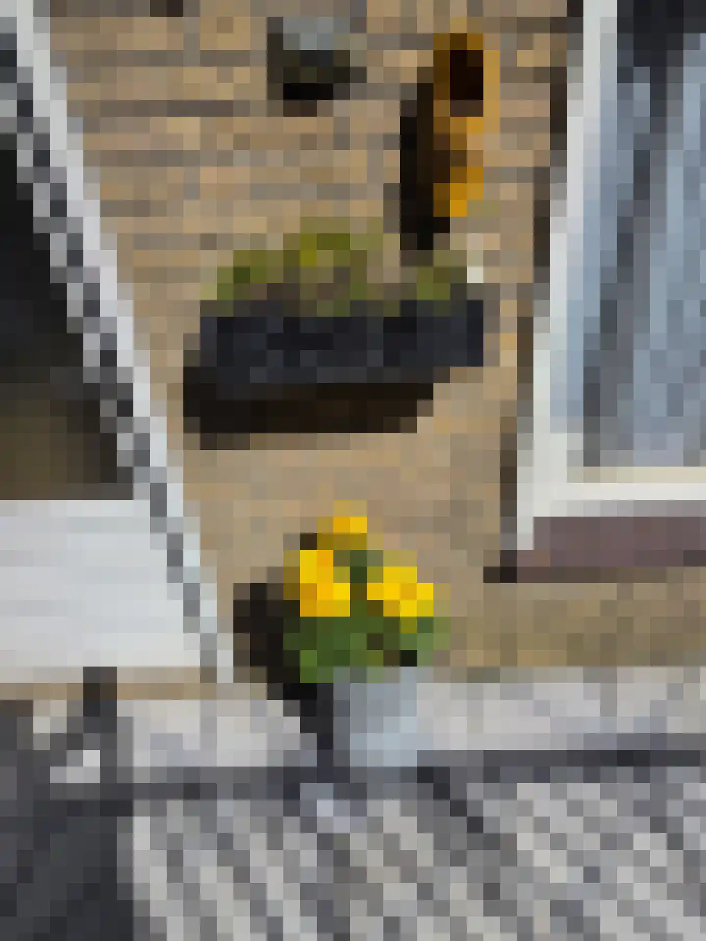 Drapenierstraat 10 Tilburg thumbnail 21