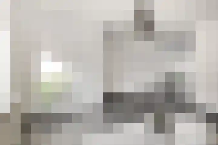 Drapenierstraat 15 Eindhoven thumbnail 11