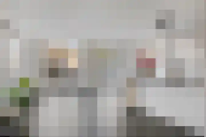 Drapenierstraat 15 Eindhoven thumbnail 12