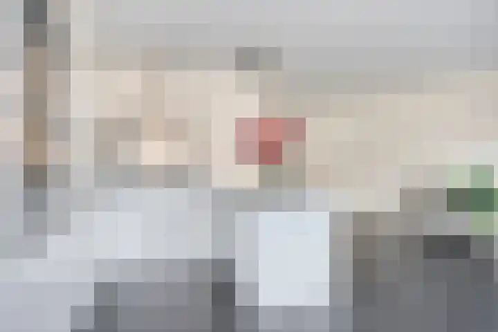 Drapenierstraat 15 Eindhoven thumbnail 15