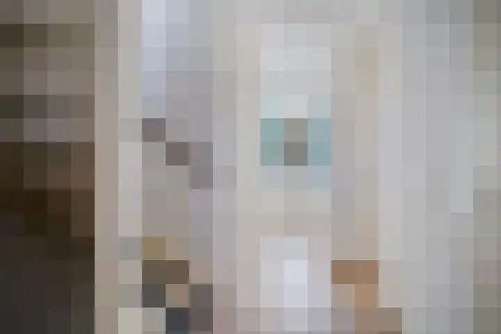 Drapenierstraat 15 Eindhoven thumbnail 19