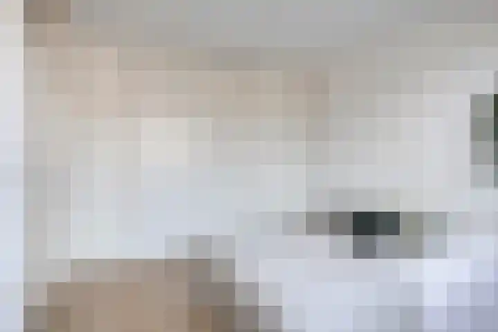 Drapenierstraat 15 Eindhoven thumbnail 21