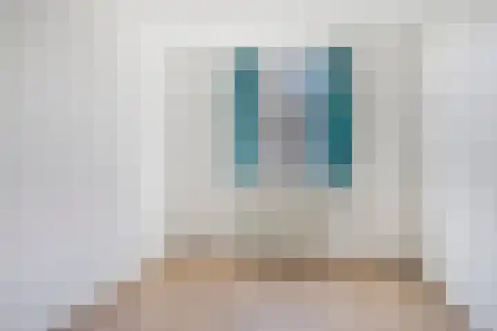 Drapenierstraat 15 Eindhoven thumbnail 22