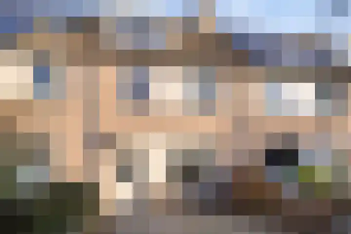 Drapenierstraat 15 Eindhoven thumbnail 40