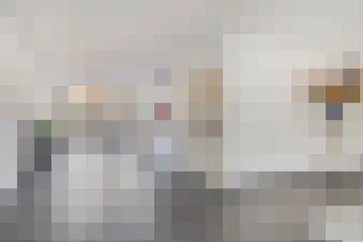 Drapenierstraat 15 Eindhoven thumbnail 7