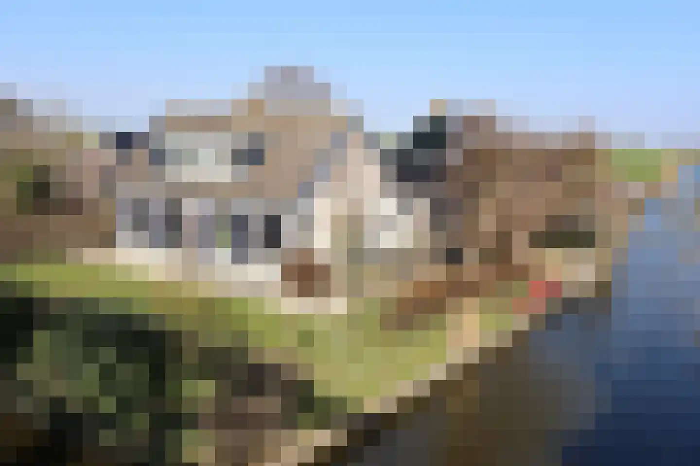 Draversdyk 2 in Rien