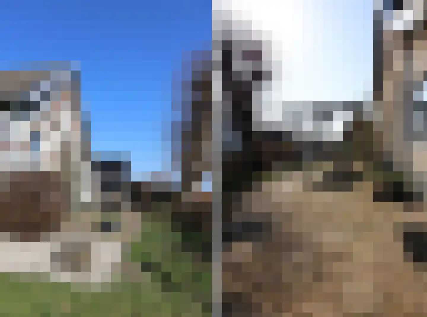Draversdyk 2 Rien thumbnail 12