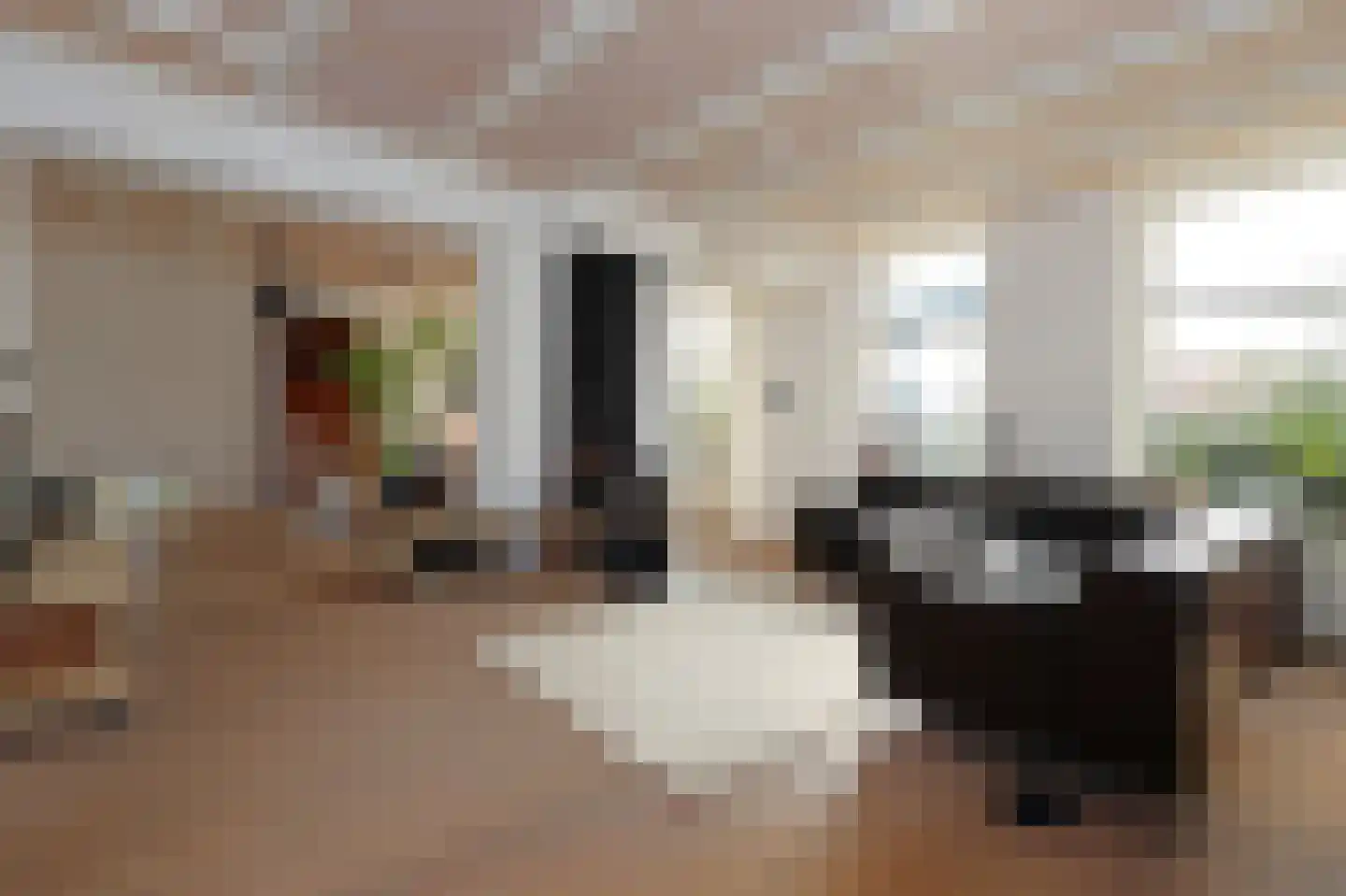 Draversdyk 2 Rien thumbnail 15