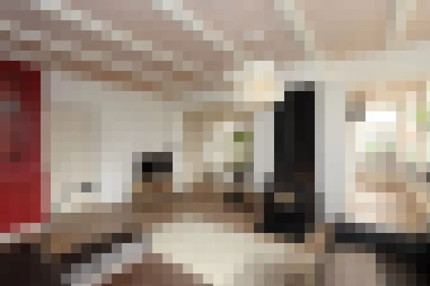 Draversdyk 2 Rien thumbnail 20