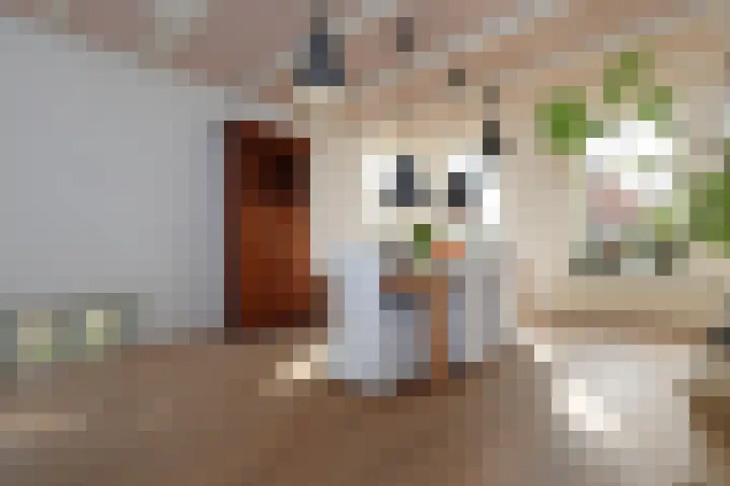 Draversdyk 2 Rien thumbnail 23