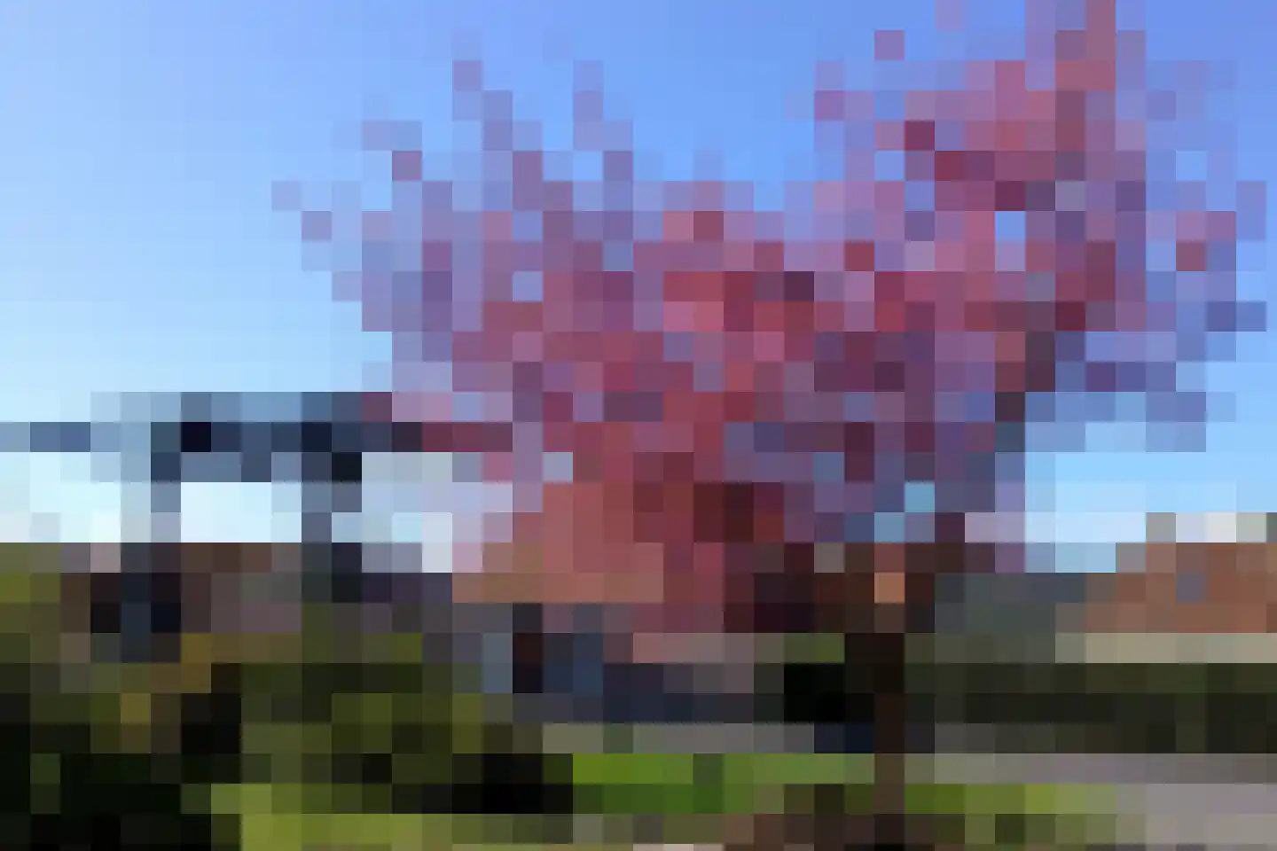 Draversdyk 2 Rien thumbnail 27