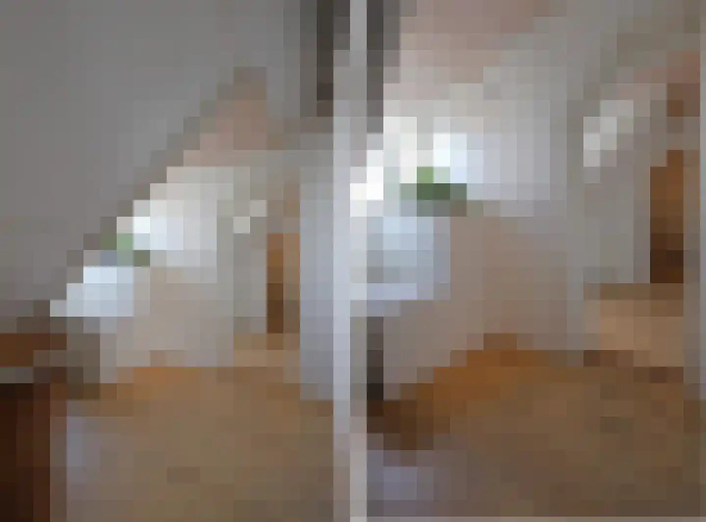 Draversdyk 2 Rien thumbnail 34