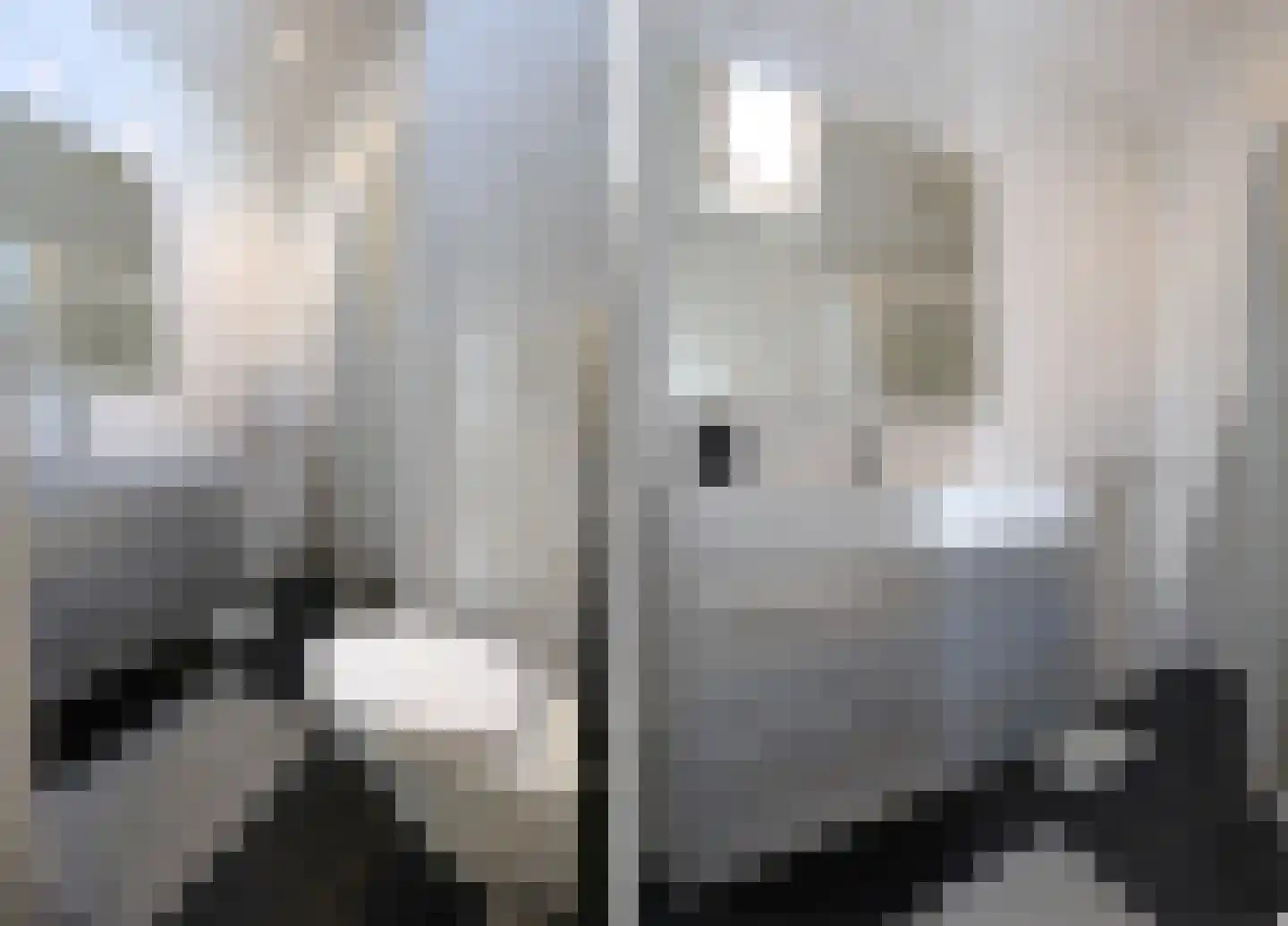 Draversdyk 2 Rien thumbnail 35