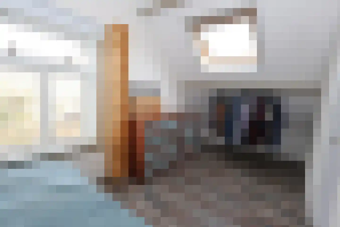 Draversdyk 2 Rien thumbnail 37