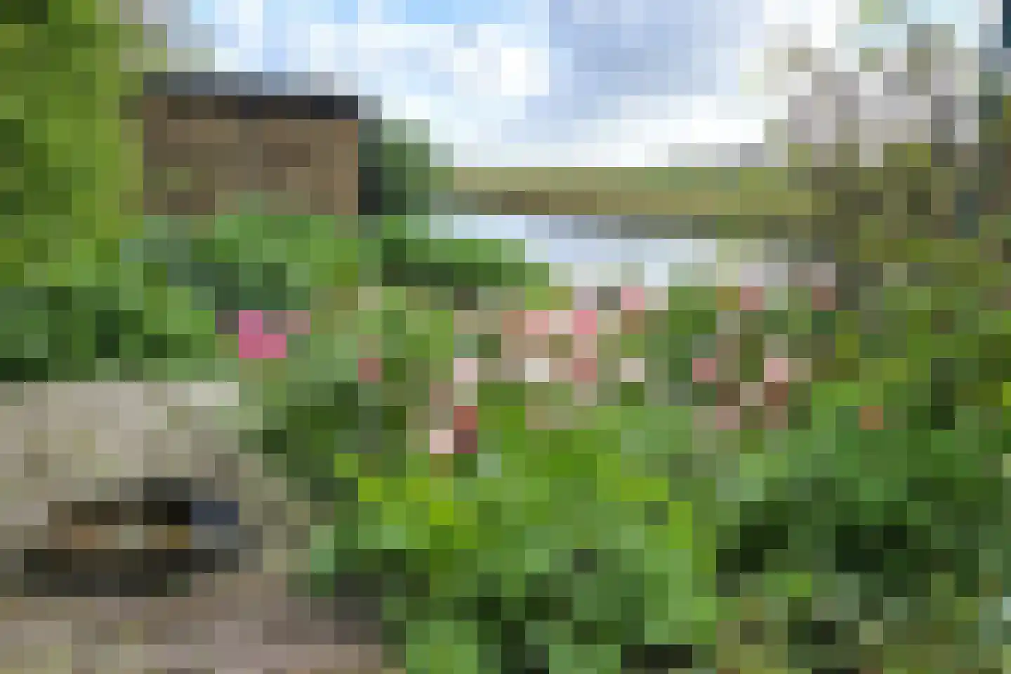 Draversdyk 2 Rien thumbnail 5