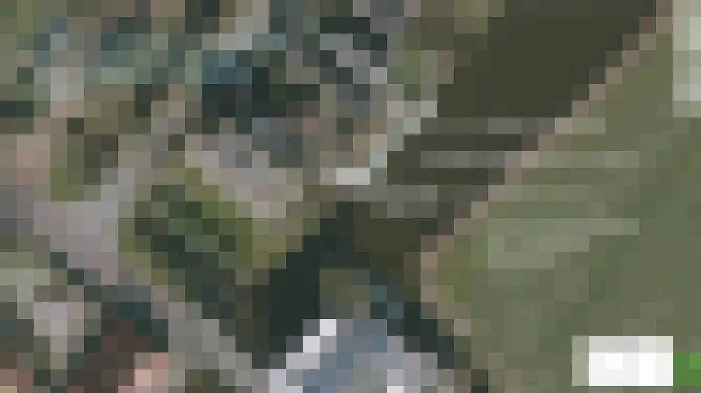 Draversdyk 2 Rien thumbnail 52