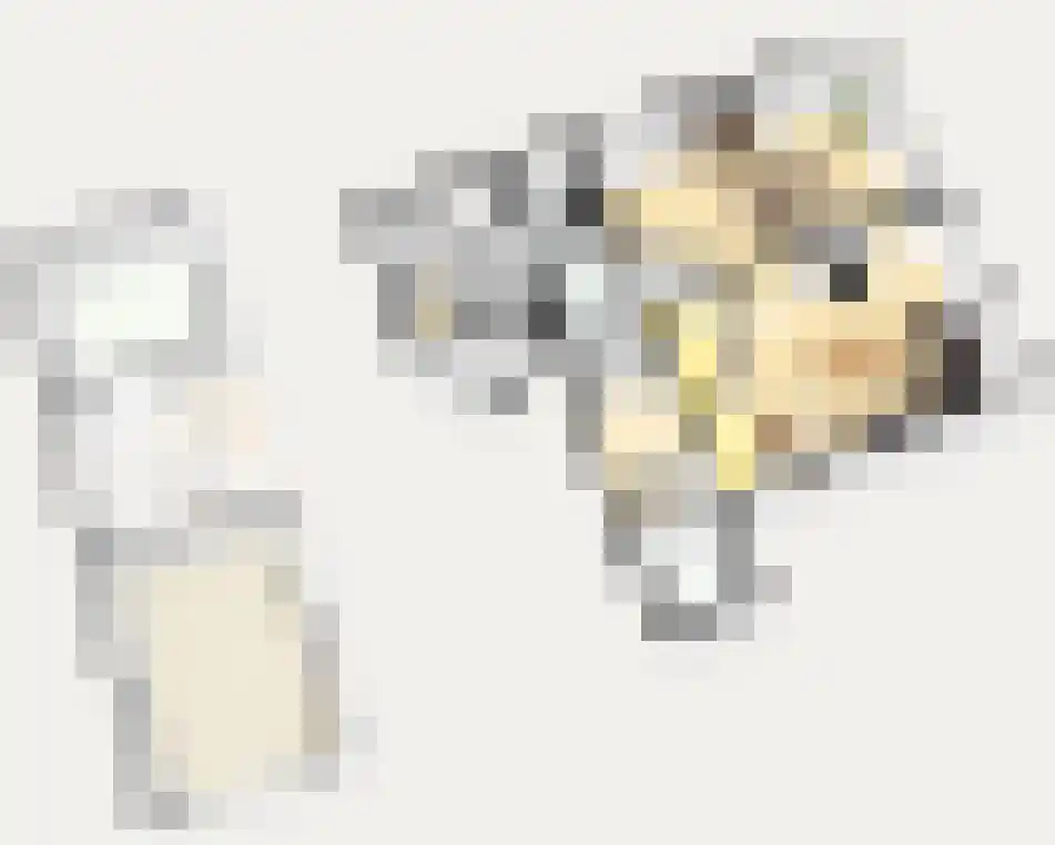 Draversdyk 2 Rien thumbnail 58