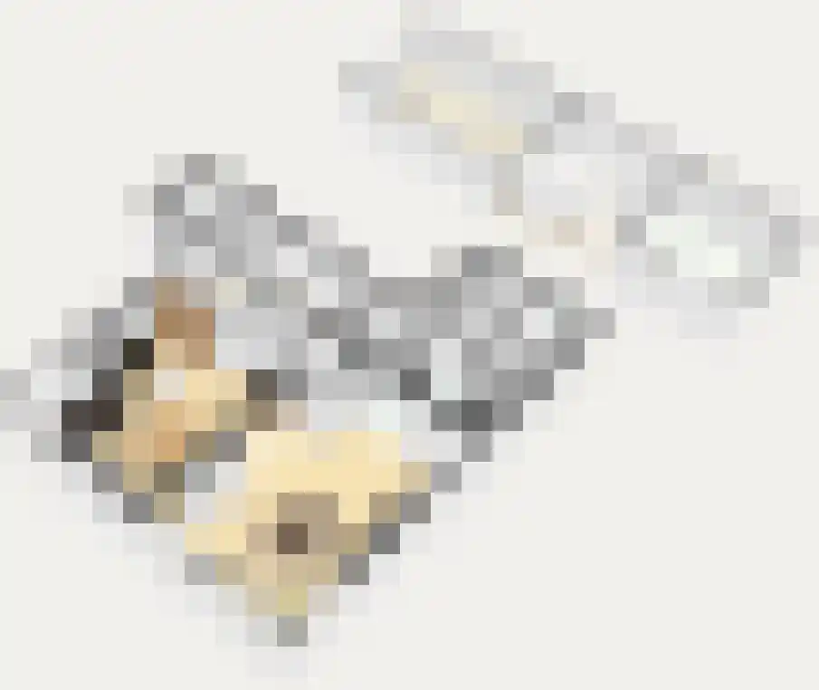 Draversdyk 2 Rien thumbnail 59