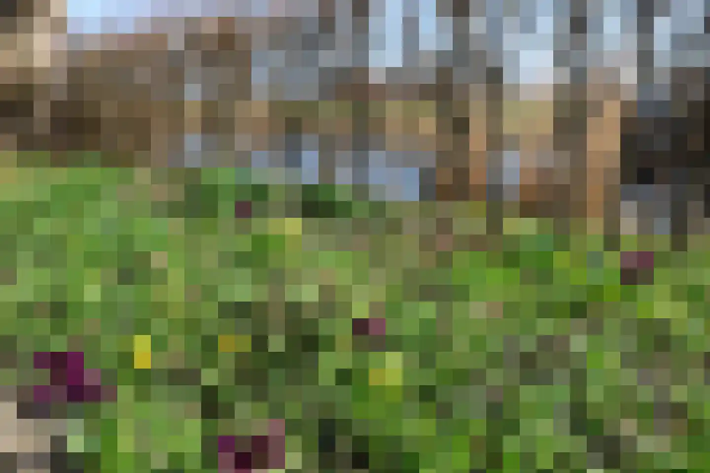 Draversdyk 2 Rien thumbnail 7