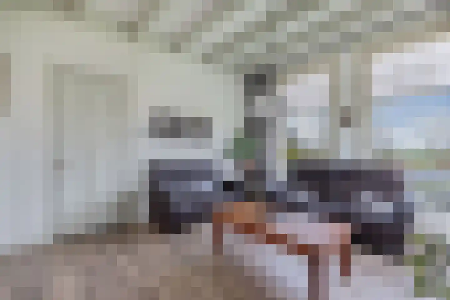 Draversdyk 9 Rien thumbnail 11