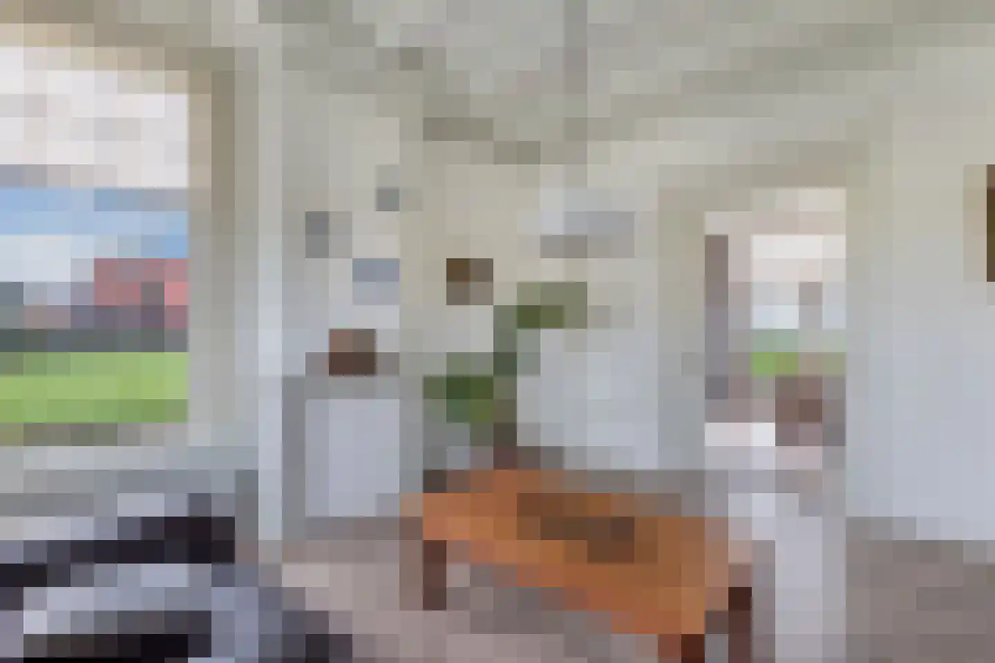 Draversdyk 9 Rien thumbnail 12