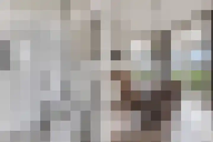 Draversdyk 9 Rien thumbnail 17