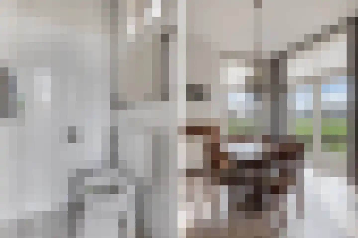 Draversdyk 9 Rien thumbnail 17