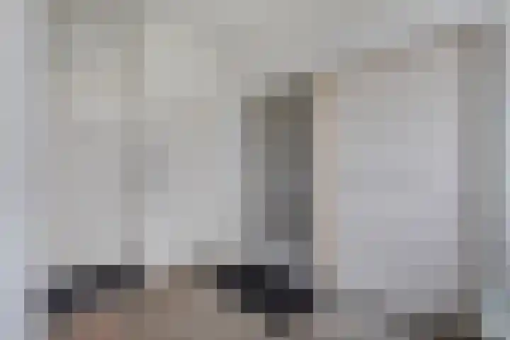 Draversdyk 9 Rien thumbnail 29