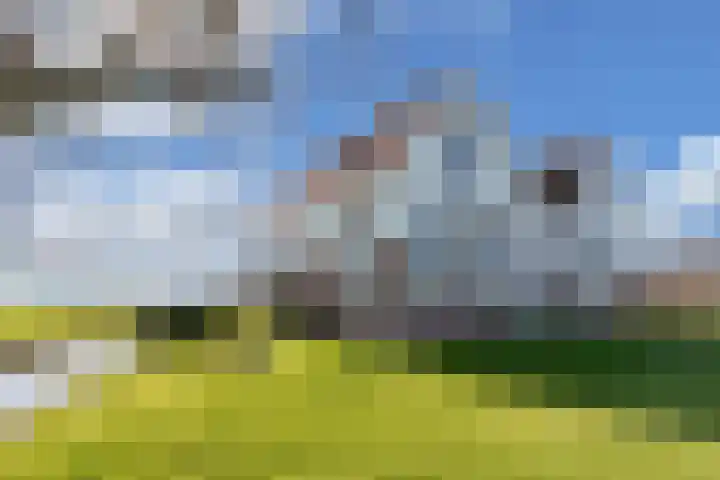 Draversdyk 9 Rien foto 3