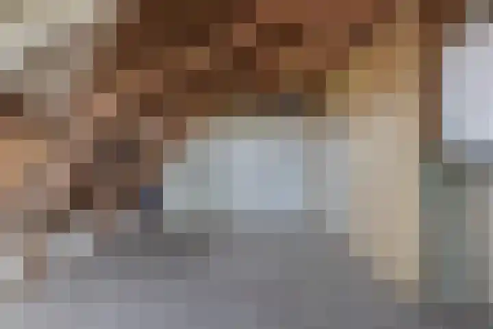Draversdyk 9 Rien thumbnail 38