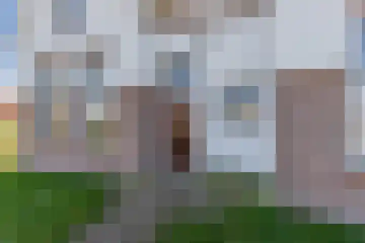 Draversdyk 9 Rien thumbnail 4