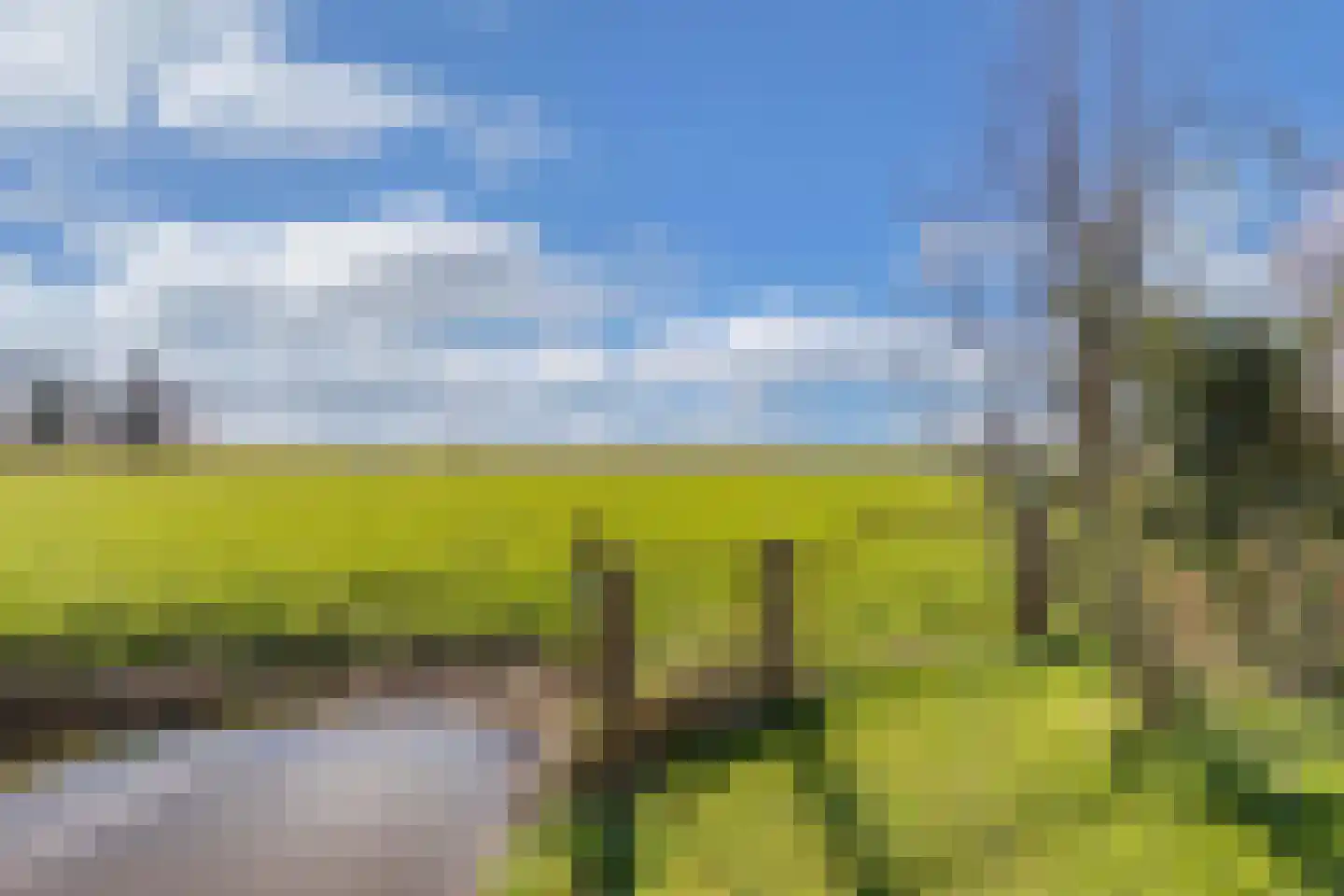 Draversdyk 9 Rien thumbnail 46