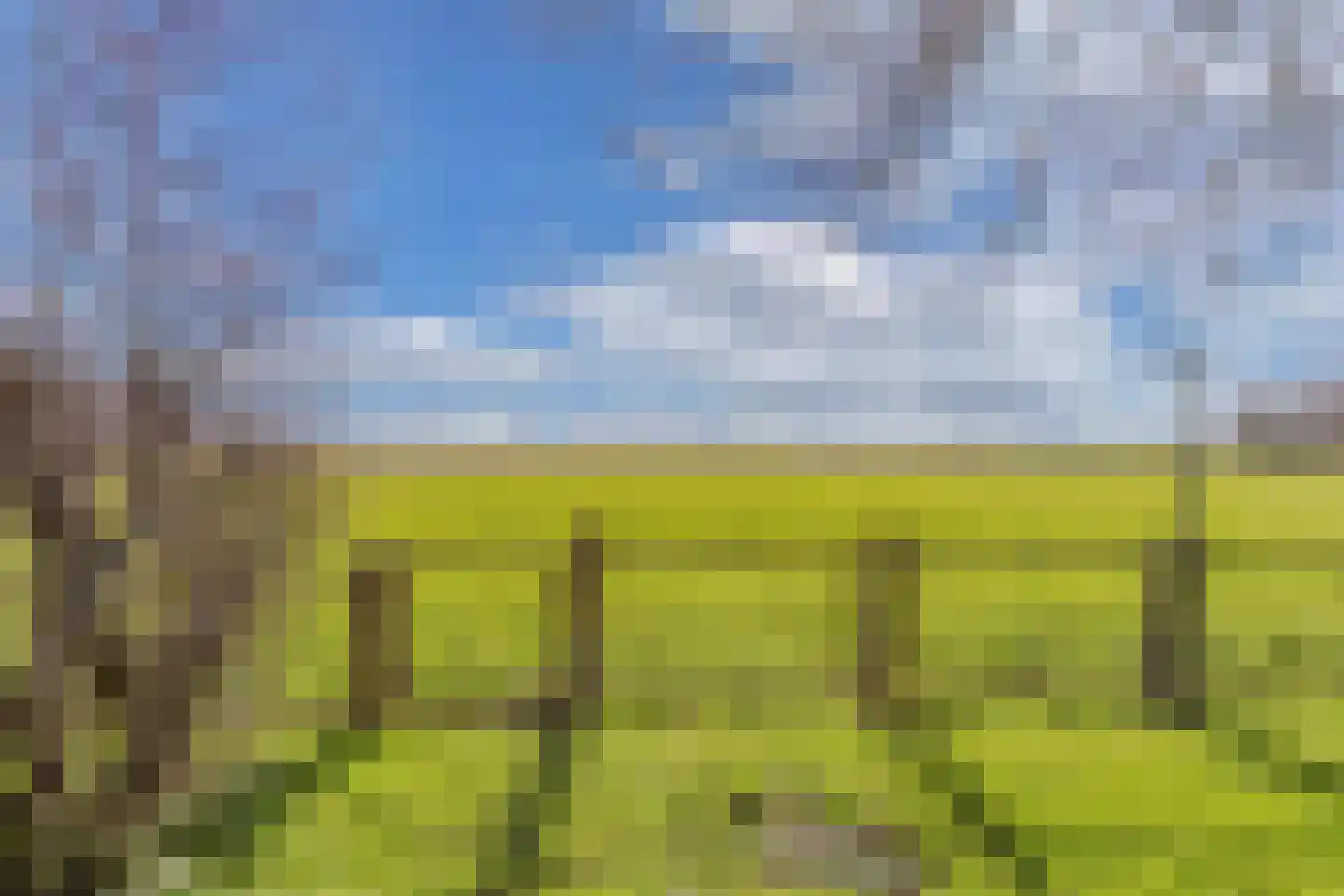Draversdyk 9 Rien thumbnail 48