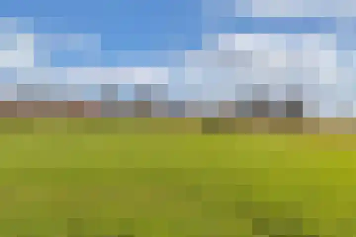 Draversdyk 9 Rien thumbnail 49