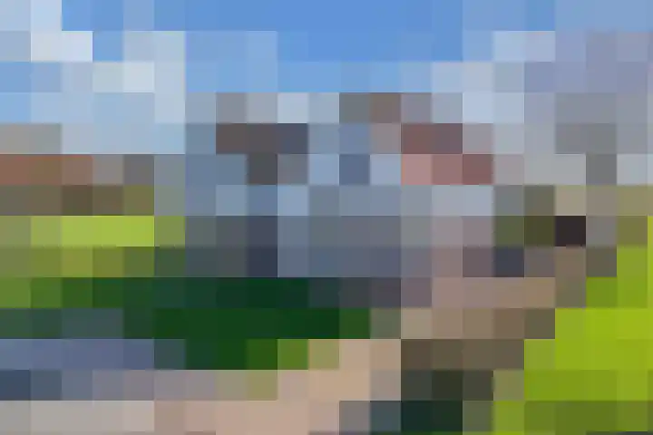 Draversdyk 9 Rien thumbnail 5