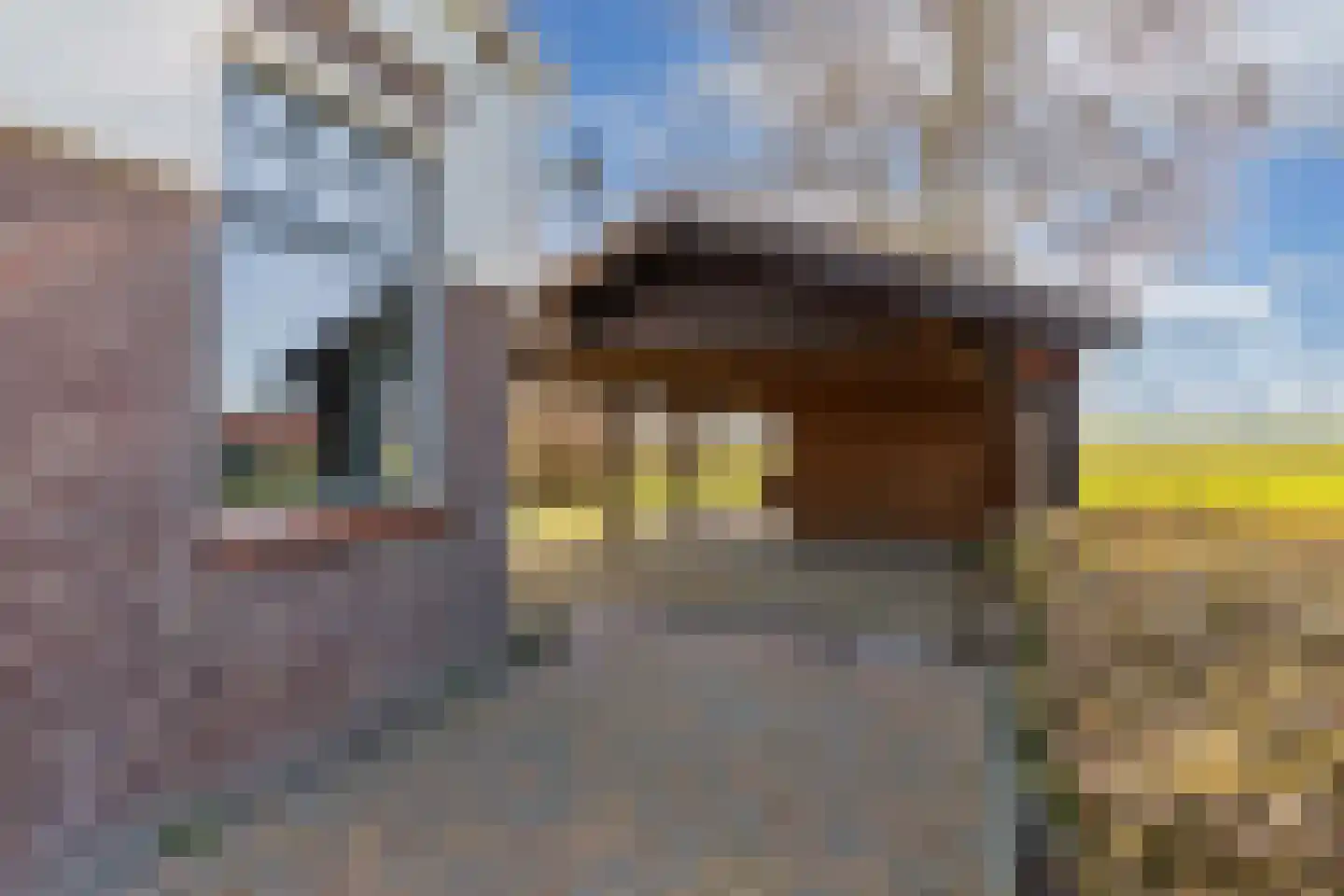 Draversdyk 9 Rien thumbnail 54