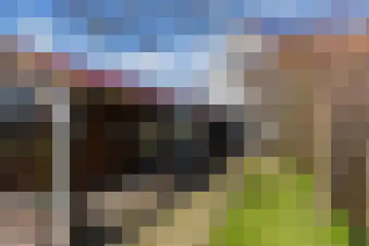 Draversdyk 9 Rien thumbnail 55