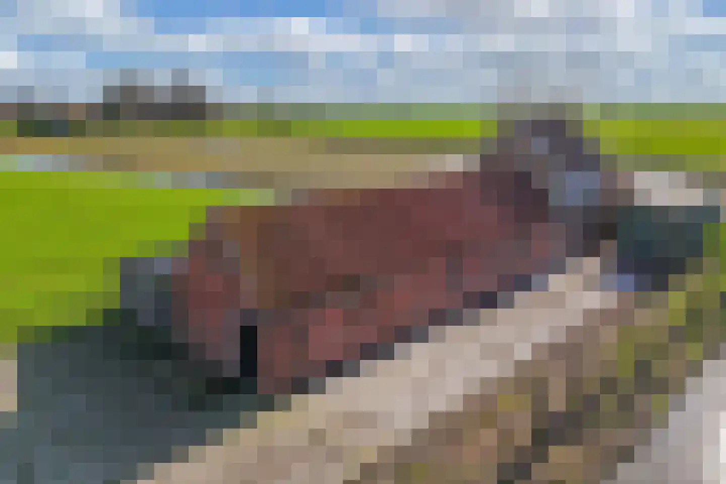 Draversdyk 9 Rien thumbnail 58