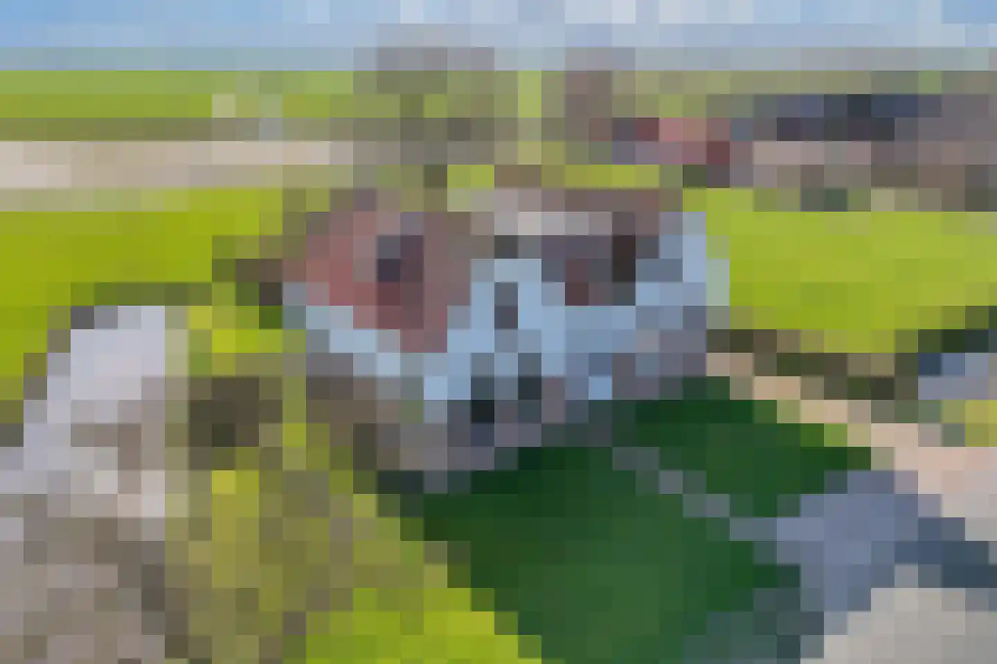 Draversdyk 9 Rien thumbnail 6