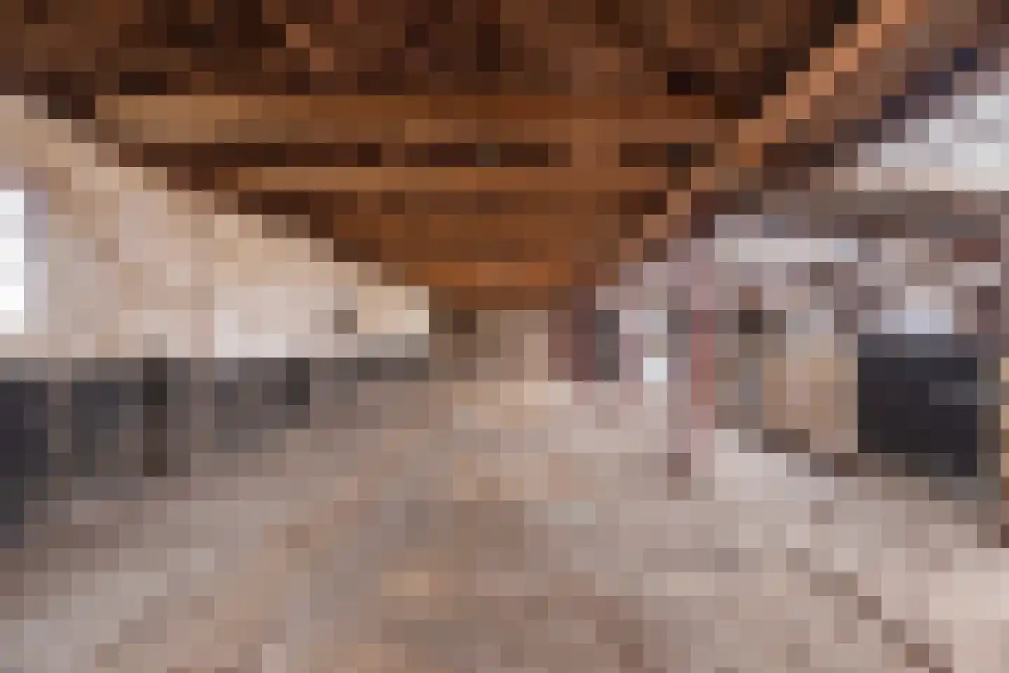 Draversdyk 9 Rien thumbnail 62