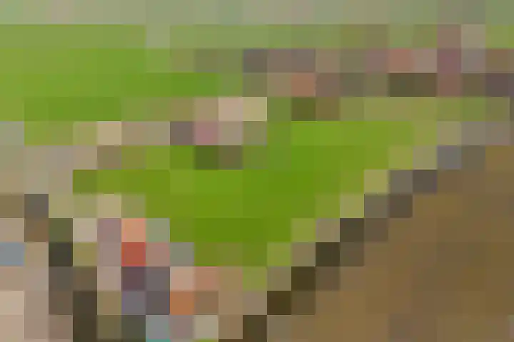Draversdyk 9 Rien thumbnail 64